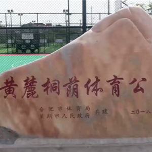 千年古鎮又添新名片，安徽巢湖黃麓桐蔭體育公園建成